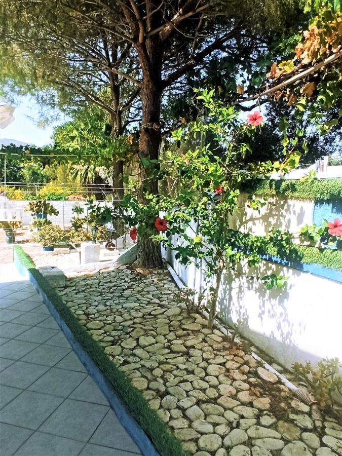 Villa Dina Chania  Exteriér fotografie